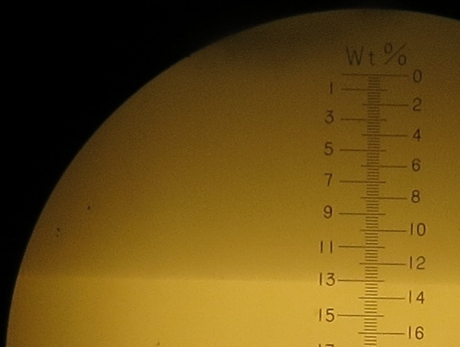 Brix refractometer showing a line at 12.8 degrees brix